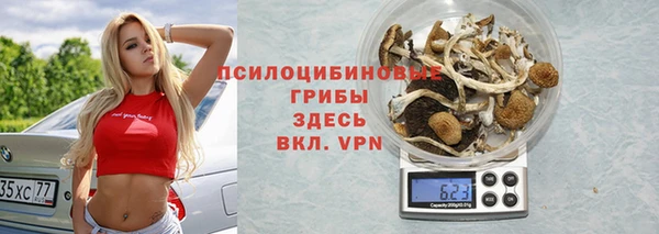 ГАЛЛЮЦИНОГЕННЫЕ ГРИБЫ Гусь-Хрустальный