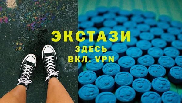 ГАЛЛЮЦИНОГЕННЫЕ ГРИБЫ Гусь-Хрустальный