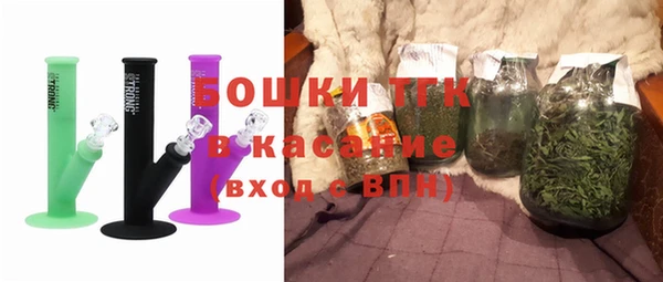 ГАЛЛЮЦИНОГЕННЫЕ ГРИБЫ Гусь-Хрустальный