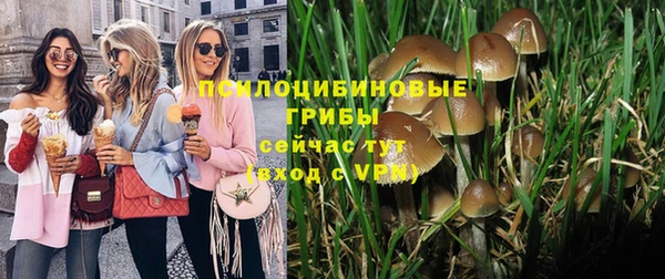 ешки Гусев