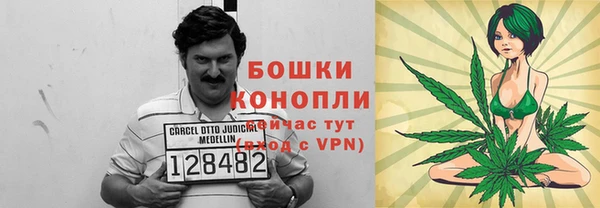 ешки Гусев