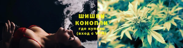 ГАЛЛЮЦИНОГЕННЫЕ ГРИБЫ Гусь-Хрустальный