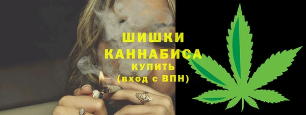 ГАЛЛЮЦИНОГЕННЫЕ ГРИБЫ Гусь-Хрустальный