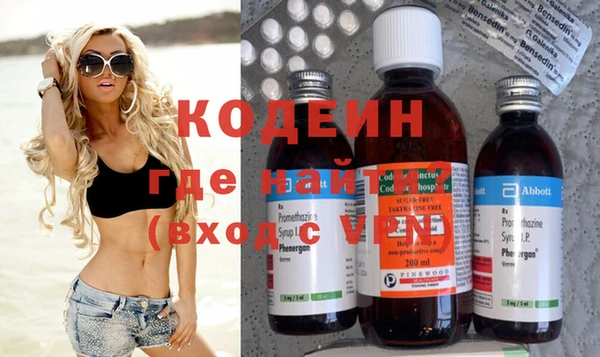 ГАЛЛЮЦИНОГЕННЫЕ ГРИБЫ Гусь-Хрустальный