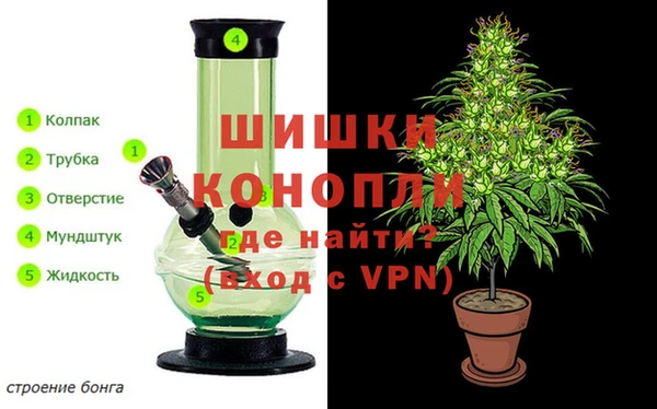 ГАЛЛЮЦИНОГЕННЫЕ ГРИБЫ Гусь-Хрустальный