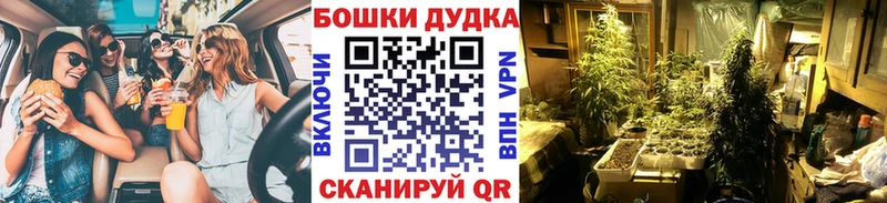 Конопля Bruce Banner Яхрома